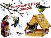 Мастер-класс «Зиму встречай – птиц привечай!»